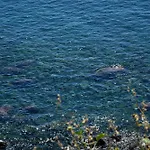 別荘 Incantevole Sul Mare