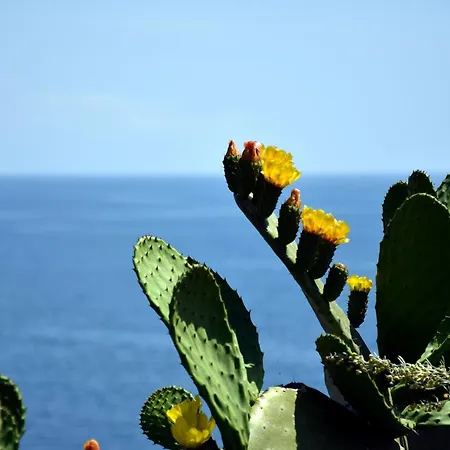 Incantevole Sul Mare *