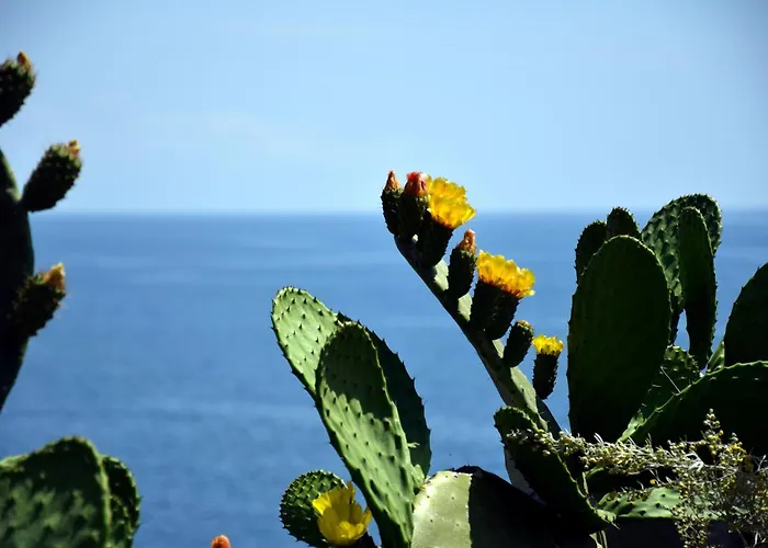 Incantevole Sul Mare *